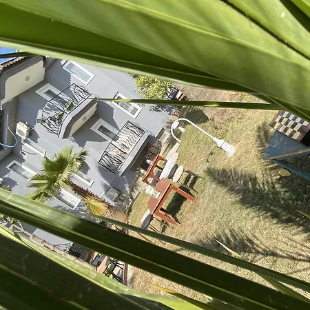 Greenway 올루데니스